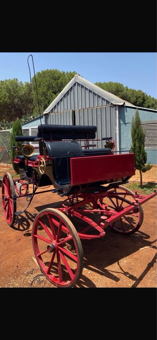 Coche de caballos clásico