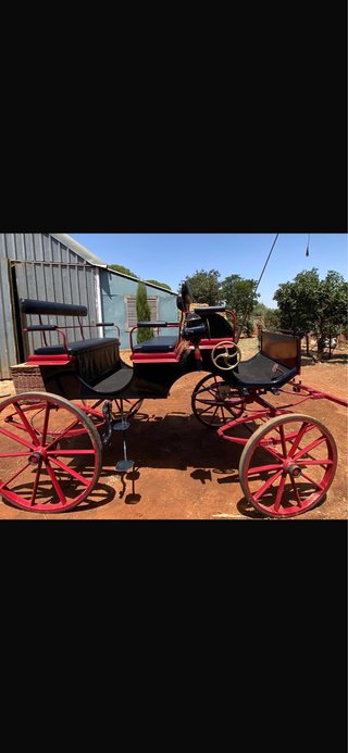 Coche de caballos clásico