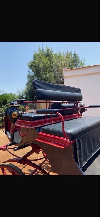 Coche de caballos clásico