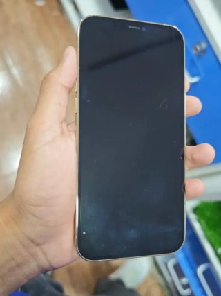 iPhone 12 Pro Max Oro