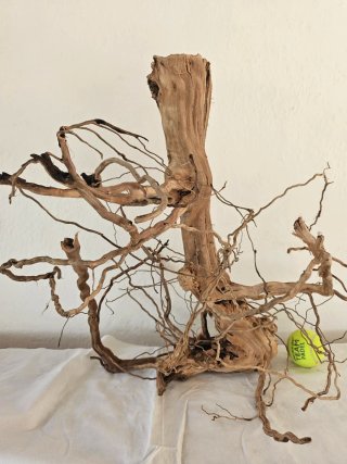 Tronco Raíz Spider XXL Madera Natural