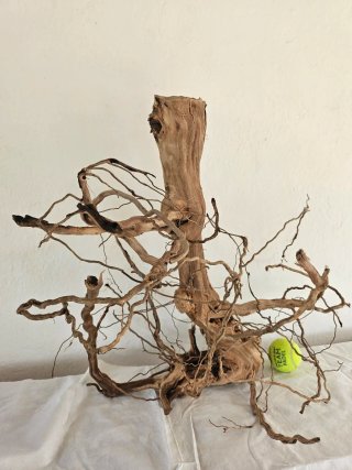 Tronco Raíz Spider XXL Madera Natural