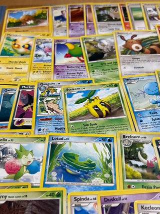 53 cartas pokémon MARAVILLAS SECRETAS sin repetir