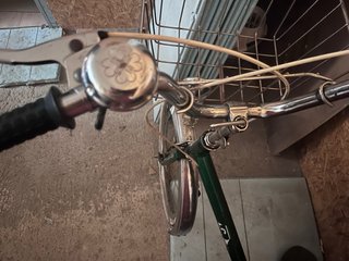 Bici Torrot Verde Paseo