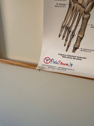 3 Poster Anatomia Corpo Umano fisiostore