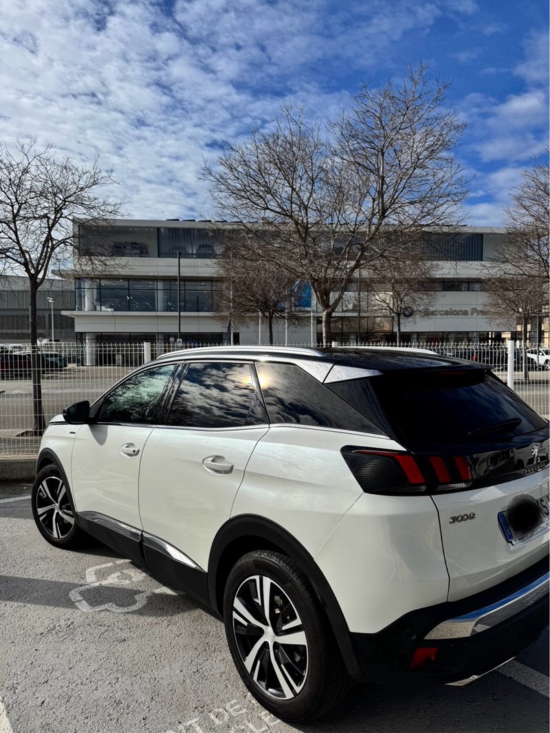 Peugeot 3008 2019, foto 2