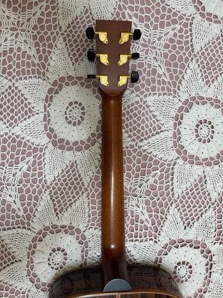 Chitarra Acustica Lakewood Premium