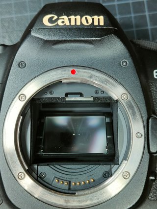 Canon EOS 5D Mark II + Grip