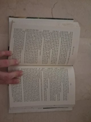 Merrick A Novel