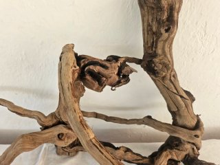 Tronchi naturali per acquari o terrari