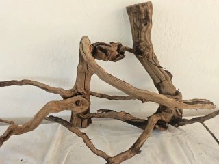 Tronchi naturali per acquari o terrari