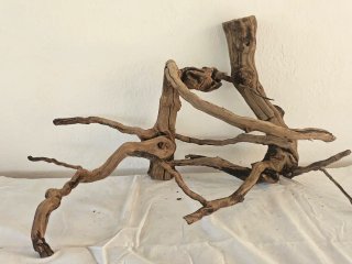 Tronchi naturali per acquari o terrari