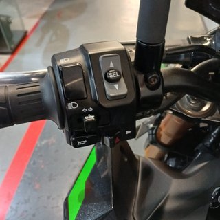 Kawasaki Z900 Performance 2023