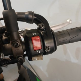 Kawasaki Z900 Performance 2023