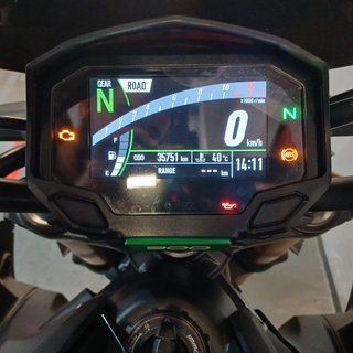 Kawasaki Z900 Performance 2023