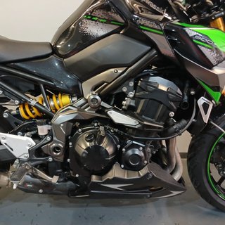 Kawasaki Z900 Performance 2023