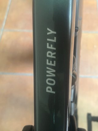 Bicicleta Eléctrica Trek Powerfly