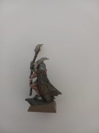 Chaman Hombres Bestia Warhammer