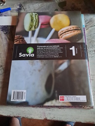 Promenade, français A1, 1 Secundaria Livre de l...