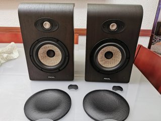 Monitores Estudio Focal Shape 65