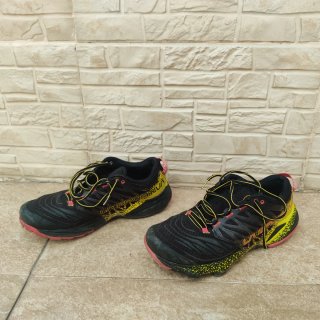 Zapatillas Trail La Sportiva Ashaka II