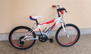 Bicicleta infantil 24 DTB