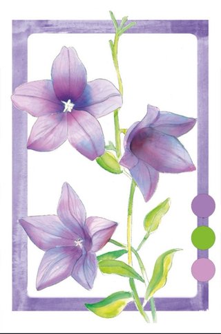 Póster A4: Campanilla china