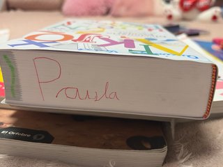 Diccionario escolar NUEVO