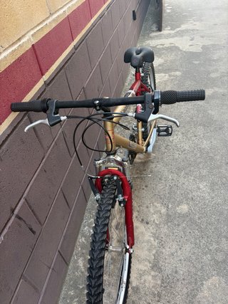 Bicicleta de montaña