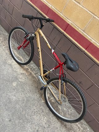 Bicicleta de montaña