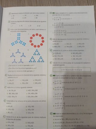 Matemáticas, 2 Secundaria, Fanfest