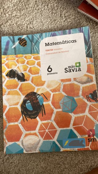 Libro 6 primaria