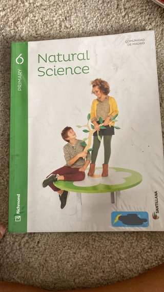 Libro 6 primaria