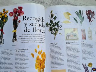 Libro manualidades
