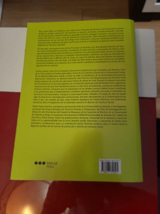 Principios de derecho civil - Derecho de famili...