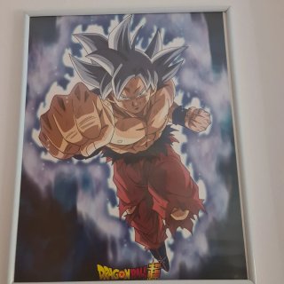 Foto Dragon Ball Z Goku Ultra Instinto