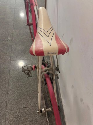 Bicicleta G.A.C. Fasser Carretera 10 velocidades