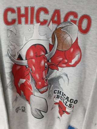 Sudadera Vintage Chicago Bulls Gris Roja