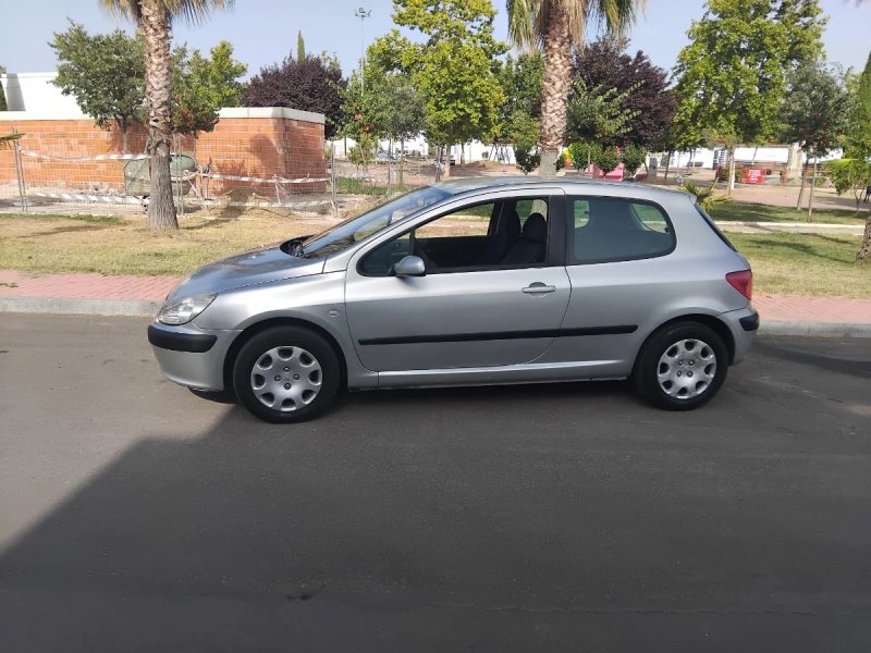 Peugeot 307 2002 - foto 1