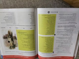 Lengua castellana y literatura 4 ESO sin subrayar