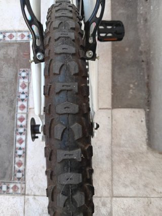 Bicicleta infantil Racer 20 pulgadas