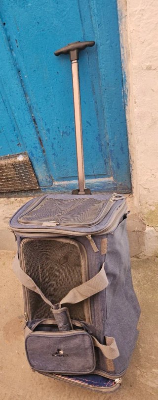 Macuto transportín para mascotas