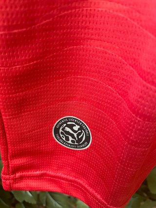 Camiseta Portugal Puma Roja y Turquesa