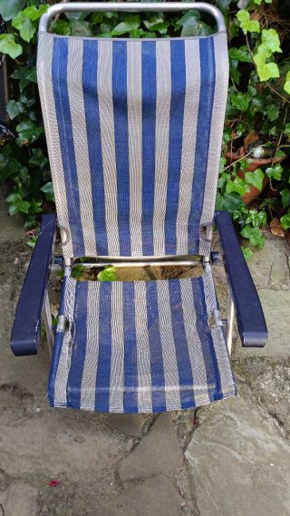 Silla plegable playa azul y gris