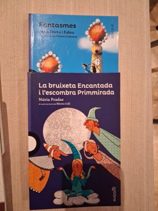 Llibres lectura català +8 anys