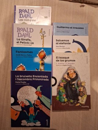 Llibres lectura català +8 anys