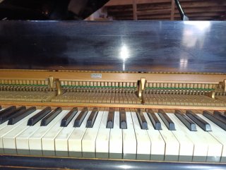 Piano de Cola Colín