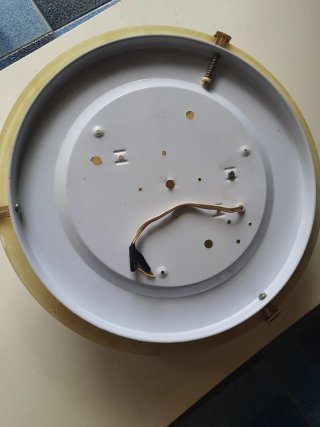 Plafoniera decorata con foglie