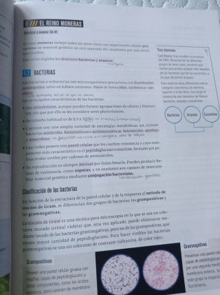 Proyecto: FanFest - Biología, Geología y Cienci...