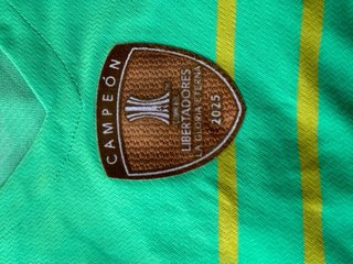 Camiseta Palmeiras Puma Verde y Amarilla